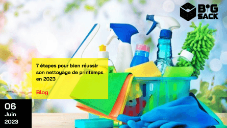 Big Sack spring cleaning 7 steps guide