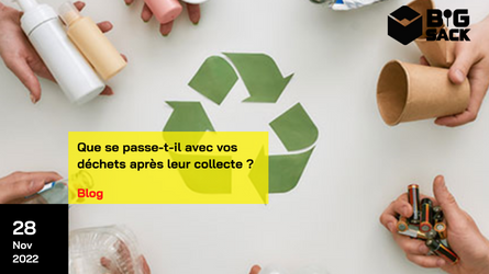 What happens to your waste after it has been collected?